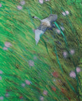 Nature’s Kiss “Kiss me Goodbye”